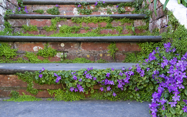 Floral steps