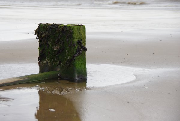 Groyne