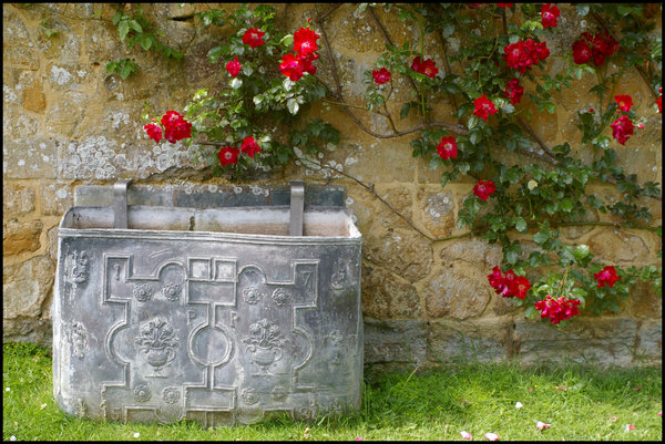 Lead Cistern with Red Climbing Roses