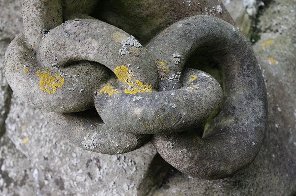 Lichen on gravestone