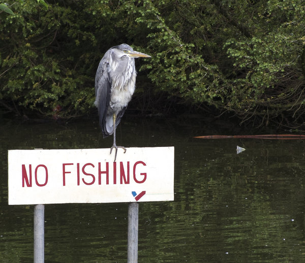 Not fishing!