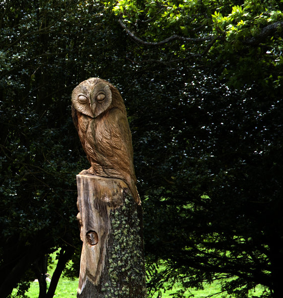 Owl Tree Carving
