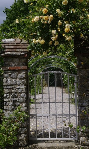 Roses galore..