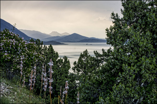Scenery