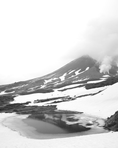 Snow in Summer
