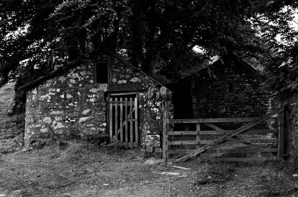 Stone barns, Dartmoor