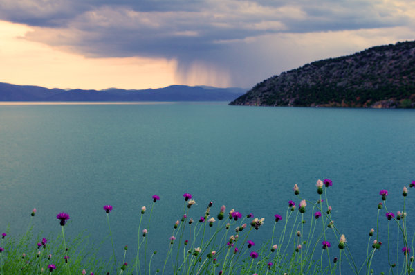 The Rain Across