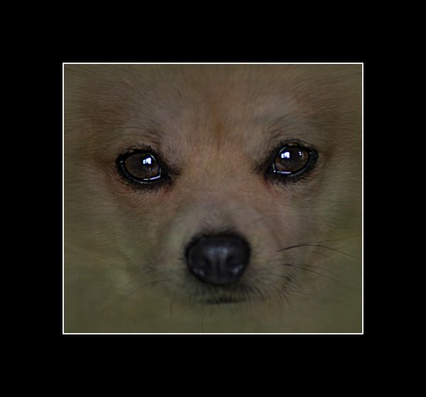 Trusting eyes