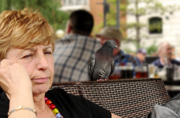 Unwanted Drinking Companion