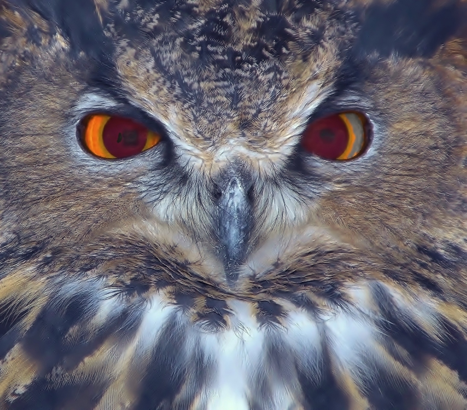 Watching you.........
