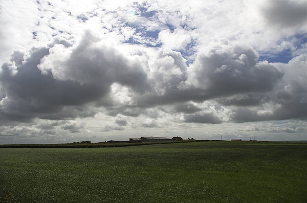 Across the hay field.