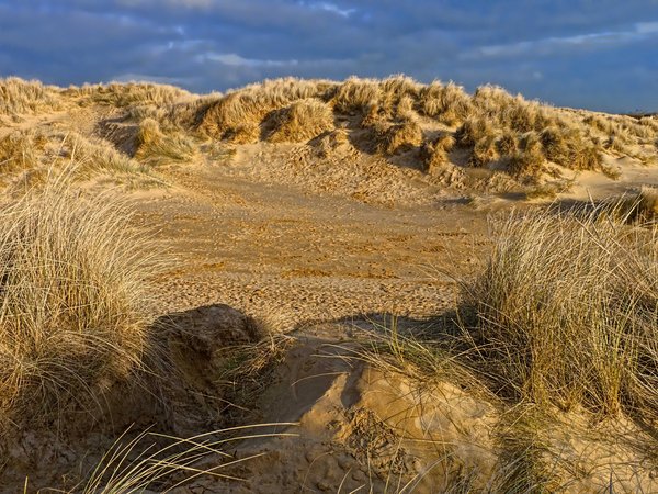 Camber Sands Christmas Day 2010 (2)