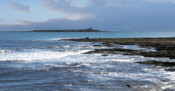 Coquet Island