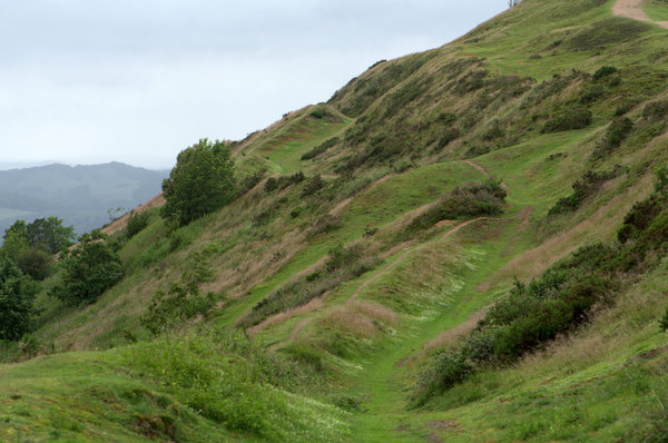 Hill Walk