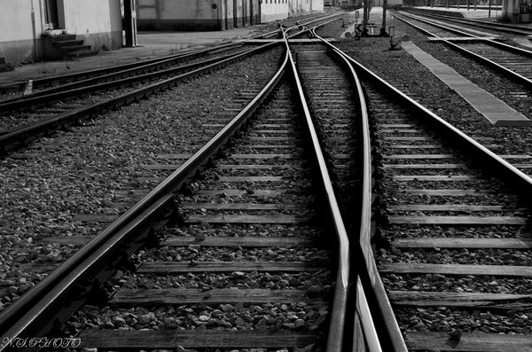 in the lines