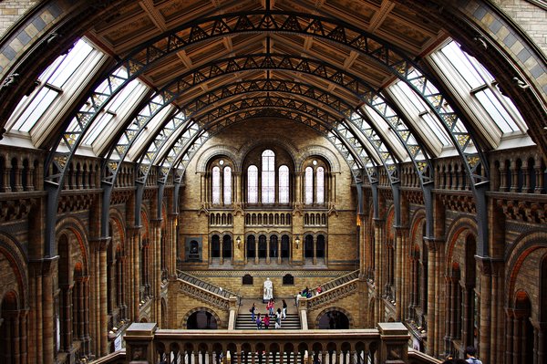 Magnificent Museum