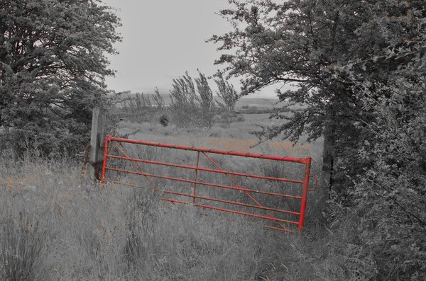 Red Gate