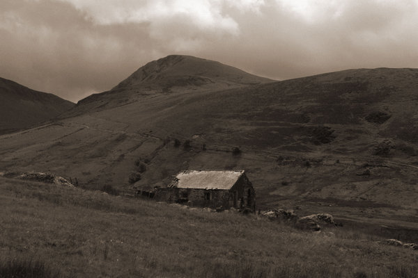 Ruinned barn