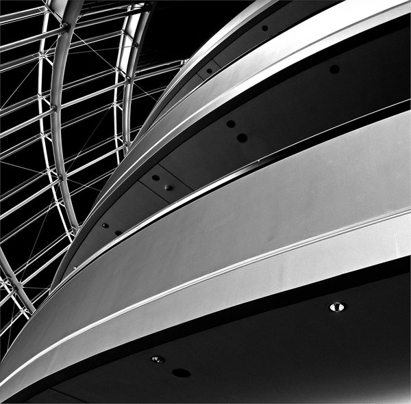Sage curves