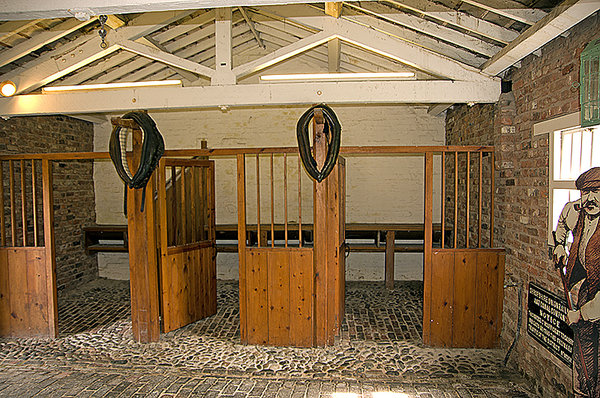 Stables