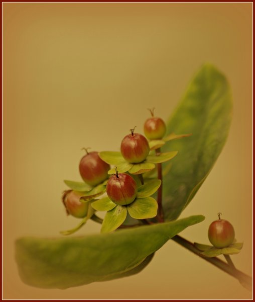 Summer fruits