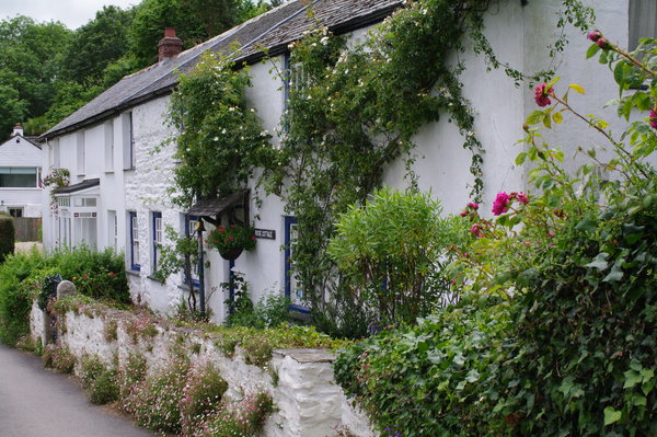 the cottage