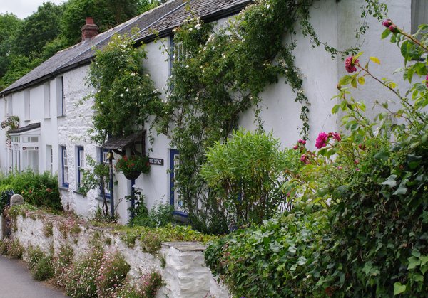 the cottage