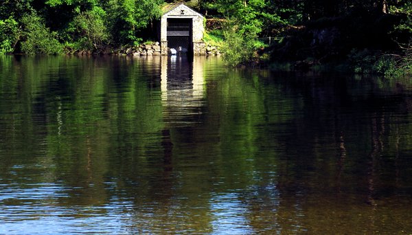 The Hut