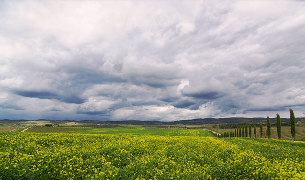 To Montalcino