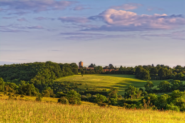View from Farthing Down to the SE