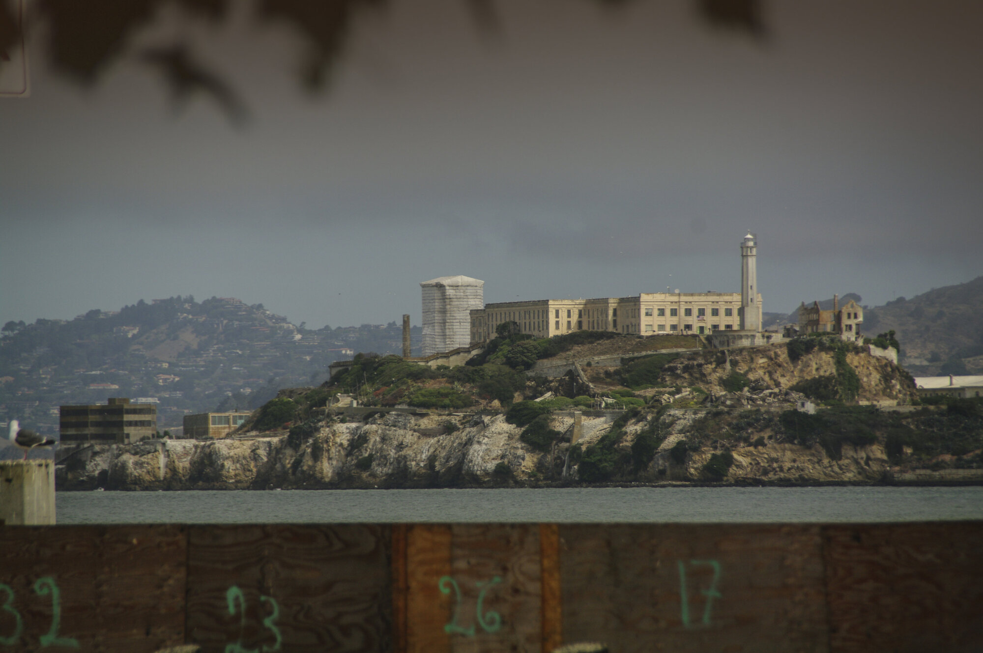 The Rock