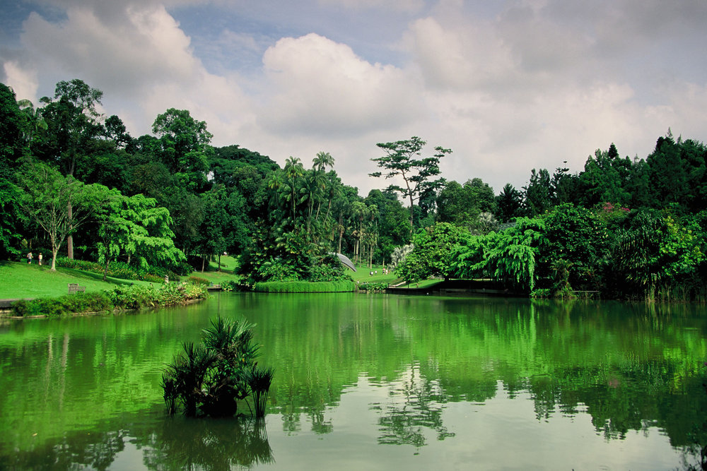 Botanic Gardens Singapore