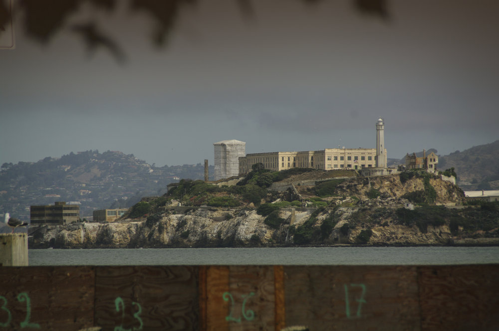 The Rock