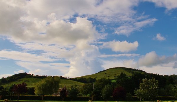 Brent Knoll