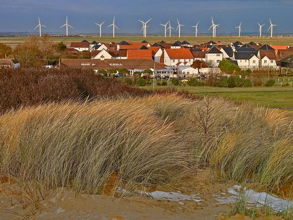 Camber from the Dunes