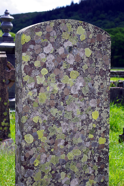 Capel Curig Gravestone