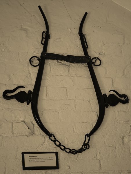 Horse's Yoke