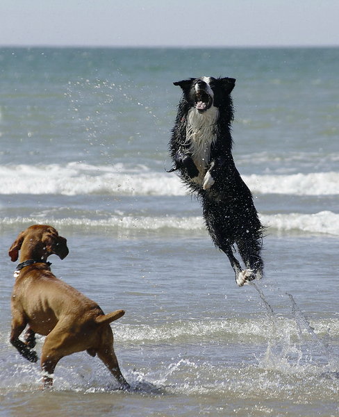 Jumping Jack
