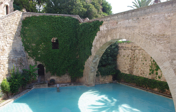 Palma Cathedral Pool
