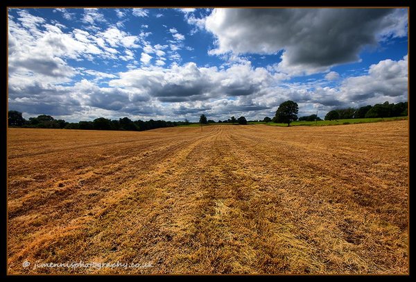 Stubble Field