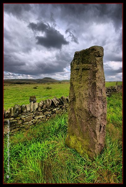 The Plague Stone