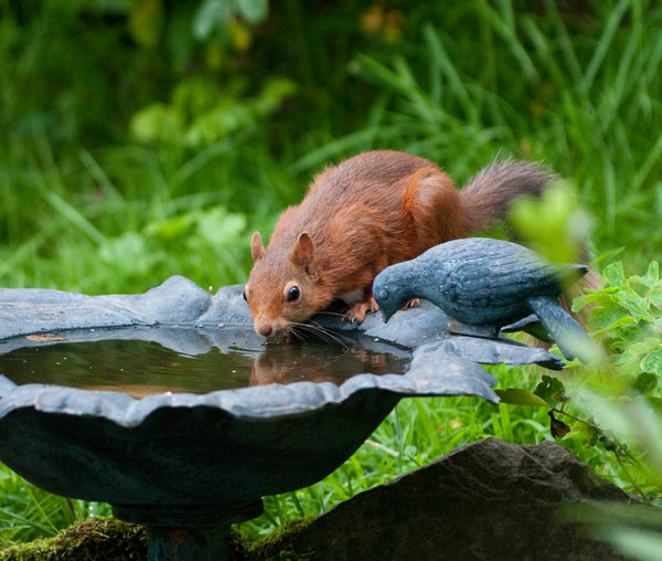 Thirsty Work