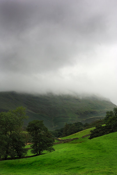 Trees & Mist Covered Fells