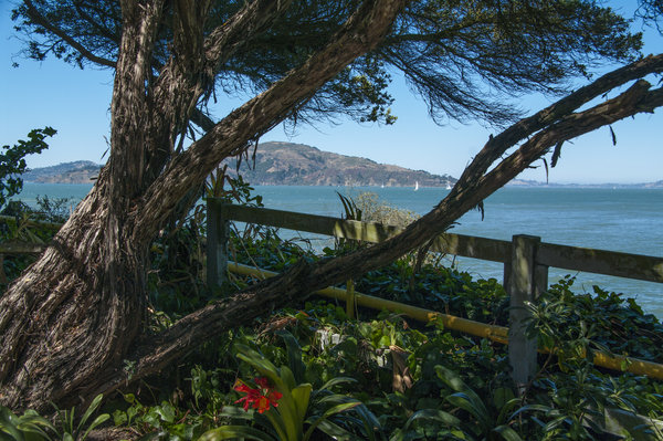 View from 