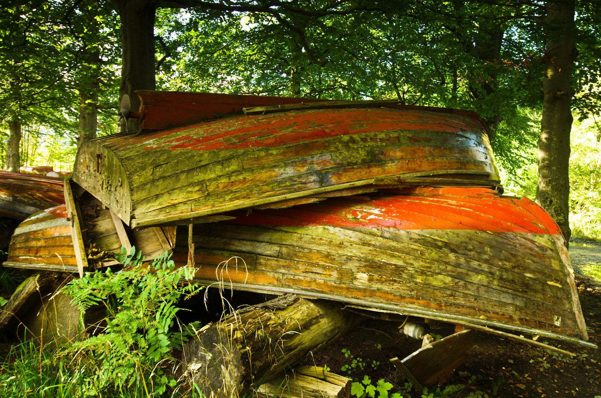 Where row boats go to die