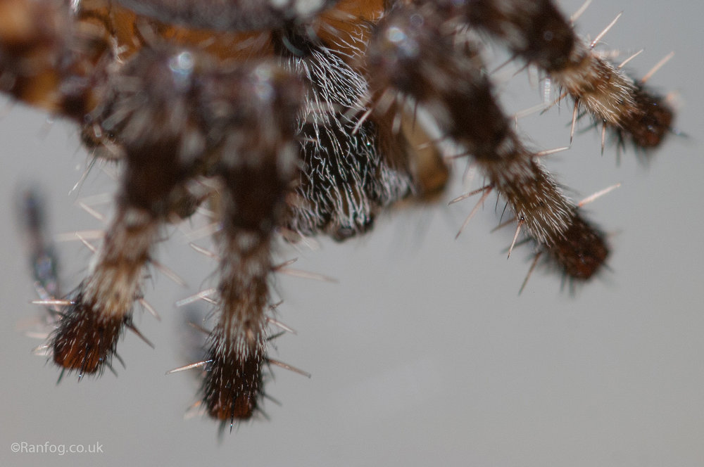 Beady Eye
