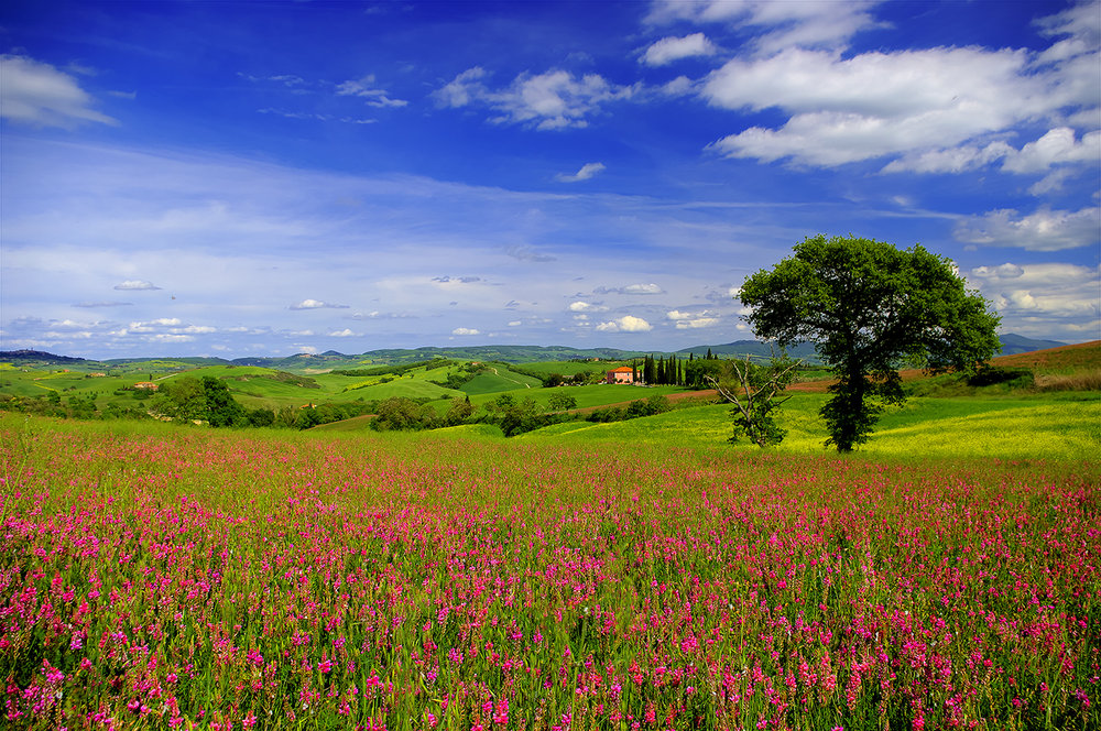 Spring in Tuscany