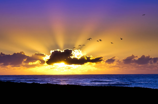 Beadnell Harbour Sunrise V2