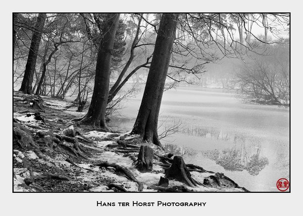 Black Park in the winter