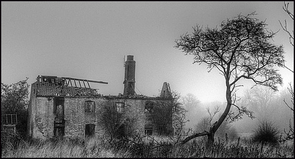 Dereliction